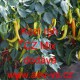 Paprika roční zeleninová kozí roh CZ Mix