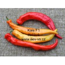 Paprika roční zeleninová hybridní pálivá Kais F1 precisem