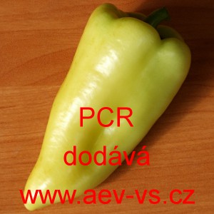 Paprika roční zeleninová pálivá PCR
