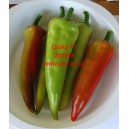 Paprika roční zeleninová hybridní pálivá Dráky F1