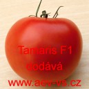 Rajče tyčkové hybridní Tamaris F1