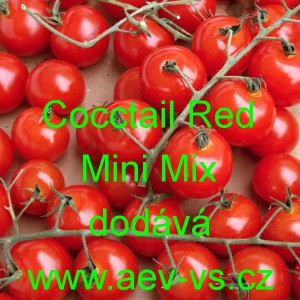 Rajče tyčkové Cocctail Red Mini Mix