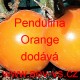 Rajče balkonové přepadávající (převislé) Pendulina Orange