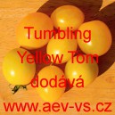 Rajče balkonové přepadávající (převislé) Tumbling Yellow Tom