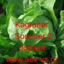 Salát hlávkový Kagraner Sommer 2