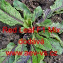 Špenát setý zelný hybridní Spinach Red Leaf F1 Mix
