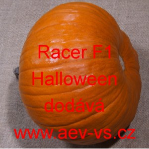 Tykev obecná hybridní Racer F1 Halloween