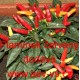 Paprika roční nádherná Plamínek červený