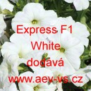 Petúnie velkokvětá Express F1 White