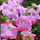 Petúnie velkokvětá Express F1 Lilac
