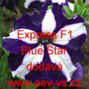 Petúnie velkokvětá Express F1 Blue Star