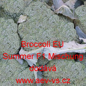Brokolice hybridní Broccoli EU Summer F1 Mix