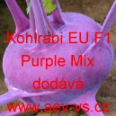 Kedluben modrý poloraný hybridní Kohlrabi EU F1 Purple Mix