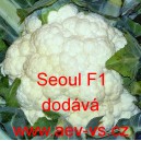 Květák hybridní Seoul F1