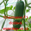 Okurka setá salátová hybridní "hadovka" do skleníku Charmaine F1