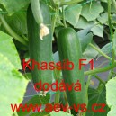 Okurka setá salátová hybridní "hadovka" do skleníku Khassib F1