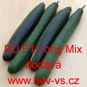 Okurka setá salátová hybridní "hadovka" do skleníku EU F1 Long Mix