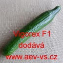 Okurka setá salátová hybridní "hadovka" do skleníku Vigorex F1