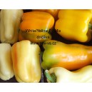 Paprika roční zeleninová hybridní EU F1 White/Yellow Mix