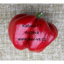 Paprika roční zeleninová hybridní rajčinová Kabala F1