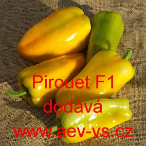 Paprika roční zeleninová hybridní Pirouet F1