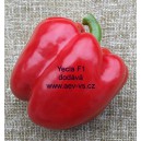 Paprika roční zeleninová hybridní Yecla F1