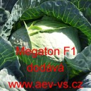 Zelí hlávkové bílé hybridní Megaton F1